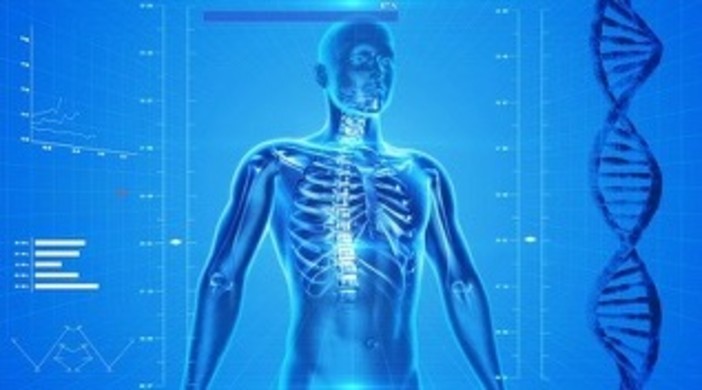 Malattie delle ossa: come prevenirle e curarle