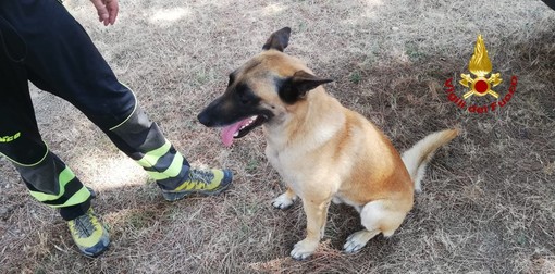 Lavagna, ritrovato dai vigili del fuoco il 91enne disperso da giovedì Lavagna, ritrovato dai vigili del fuoco il 91enne disperso da giovedì