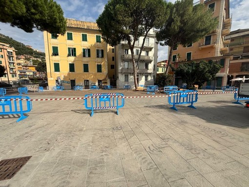 Recco: abbattimento d'urgenza per due pini sul lungomare, interdetta un'area della passeggiata per sicurezza Recco: abbattimento d'urgenza per due pini sul lungomare, interdetta un'area della passeggiata per sicurezza