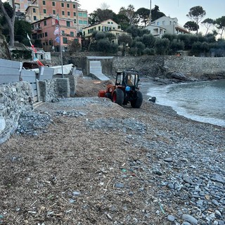 Recco, spiaggia dei Frati chiusa per rimuovere la posidonia