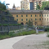 Sfalci, è scontro in consiglio comunale. Bevilacqua: "Invasi dall'erba alta". Ferrante: "Da giugno nuovi investimenti"