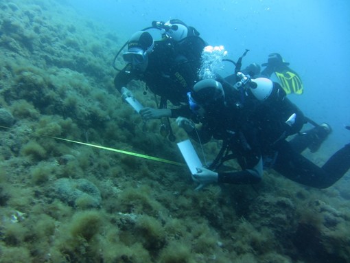 Arenzano, mina inesplosa in mare scoperta da un sub