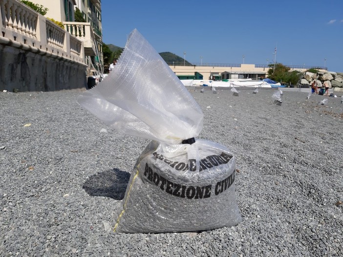 Spiagge libere, Pd: "Nel Comune di Genova restino gratuite e senza plastica" Spiagge libere, Pd: "Nel Comune di Genova restino gratuite e senza plastica"