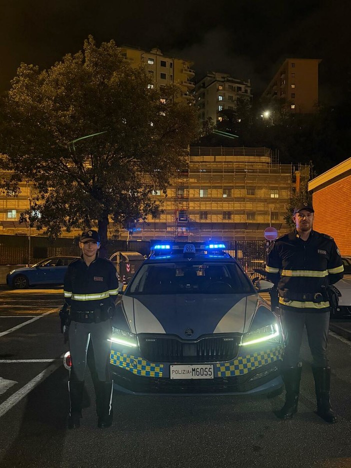 Cane smarrito vaga per l’autostrada, salvato dalla Polizia