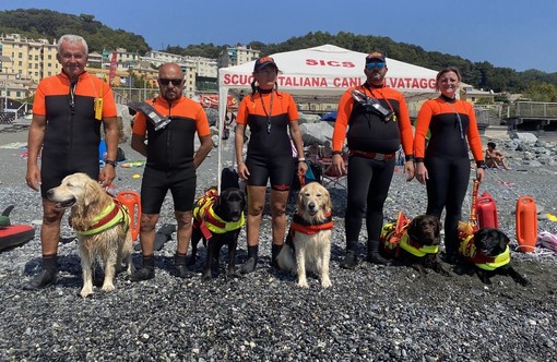 Dylan, Tempesta, Yuki, Tyson e Ginger: ecco i cani da salvataggio che presidiano la spiaggia di Voltri (Foto e Video)