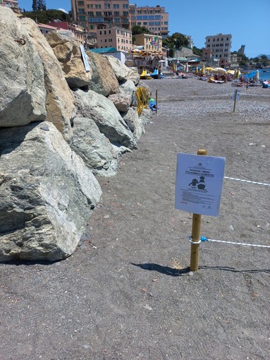 Inaugurata a Sturla la nuova spiaggia libera accessibile ai cani Inaugurata a Sturla la nuova spiaggia libera accessibile ai cani