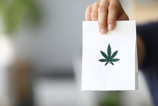 Comprare cannabis light online? Conviene, ma serve fare attenzione