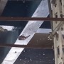 Reti anti-colombi alla stazione Brin, la denuncia dell'associazione Gaia: “Trappole mortali e rischio sanitario” Reti anti-colombi alla stazione Brin, la denuncia dell'associazione Gaia: “Trappole mortali e rischio sanitario”