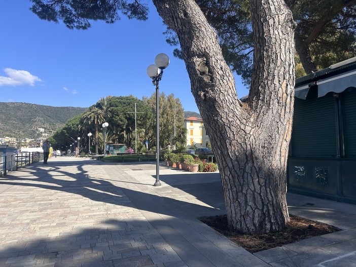 Sestri Levante: liberare gli alberi dall’asfalto, in corso gli interventi di depavimentazione urbana Sestri Levante: liberare gli alberi dall’asfalto, in corso gli interventi di depavimentazione urbana