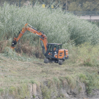 Al via il nuovo piano sfalci 2026-2028: investimenti per 5 milioni di euro e gara unica cittadina