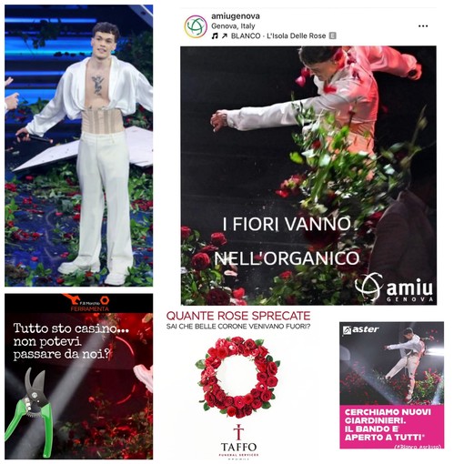 Sanremo, Blanco che distrugge le rose, fioriscono i meme