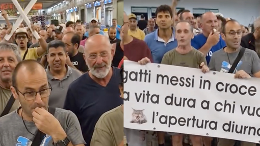 Mercato ortofrutticolo, nuova protesta all’alba contro il diurno: "Quattro gatti messi in croce rendono la vita dura a chi vuole l’apertura diurna" Mercato ortofrutticolo, nuova protesta all’alba contro il diurno: "Quattro gatti messi in croce rendono la vita dura a chi vuole l’apertura diurna"