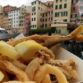 Cosa fare a Genova e dintorni nel weekend: gli appuntamenti per sabato 13 e domenica 14 maggio