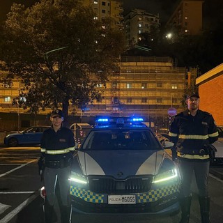 Cane smarrito vaga per l’autostrada, salvato dalla Polizia