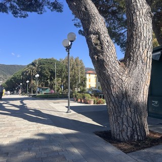Sestri Levante: liberare gli alberi dall’asfalto, in corso gli interventi di depavimentazione urbana