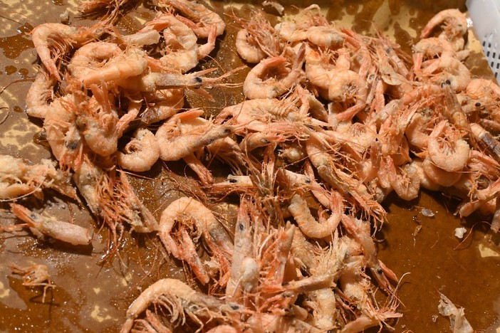 La Sagra del Fritto di Pesce