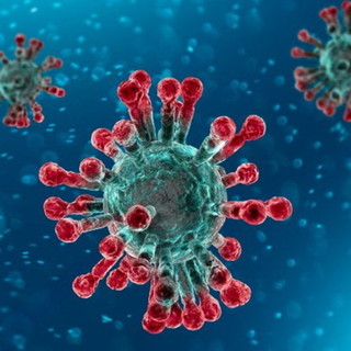 Coronavirus: stabile il numero dei positivi oggi in Liguria