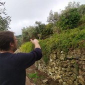 Una strada per Sant'Ilario, il comitato la chiede per collegare la parte alta con quella bassa, ma c'è l'ostacolo Soprintendenza (Foto)