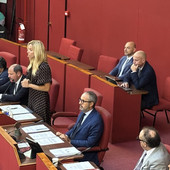 "Quel video è schifoso": Salis in sala rossa attacca il filmato realizzato con l'IA dal generale Vannacci "Quel video è schifoso": Salis in sala rossa attacca il filmato realizzato con l'IA dal generale Vannacci