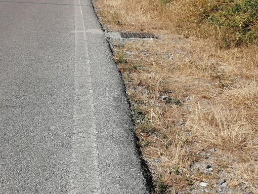 Emergenza siccità, nei prossimi giorni la richiesta della Liguria: "Interventi emergenziali e aiuti alle aziende agricole" Emergenza siccità, nei prossimi giorni la richiesta della Liguria: "Interventi emergenziali e aiuti alle aziende agricole"