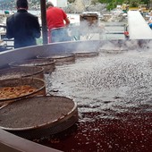 Cosa fare a Genova e dintorni nel week end: tutti gli appuntamenti per sabato 11 e domenica 12 maggio Cosa fare a Genova e dintorni nel week end: tutti gli appuntamenti per sabato 11 e domenica 12 maggio