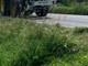 Recco, partito lo sfalcio delle strade carrabili Recco, partito lo sfalcio delle strade carrabili