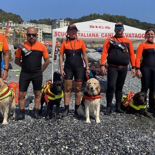 Dylan, Tempesta, Yuki, Tyson e Ginger: ecco i cani da salvataggio che presidiano la spiaggia di Voltri (Foto e Video)