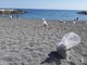 Segnaposti e ingressi contingentati: ecco le regole per la stagione in arrivo per le spiagge libere genovesi (FOTO)