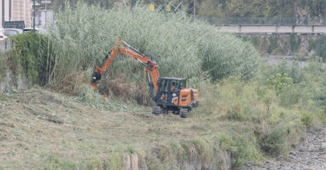 Al via il nuovo piano sfalci 2026-2028: investimenti per 5 milioni di euro e gara unica cittadina