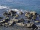 Domani riaprono le spiagge libere a Santa Margherita Ligure