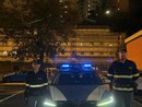 Cane smarrito vaga per l’autostrada, salvato dalla Polizia