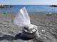 Da domani aprono le spiagge libere di Genova: accessi contingentati contro il virus grazie all'app SpiaggiaTi (VIDEO)