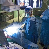Galliera, scoperto un raro ascesso epatico causato da un parassita: diagnosi dopo dieci anni dal viaggio Galliera, scoperto un raro ascesso epatico causato da un parassita: diagnosi dopo dieci anni dal viaggio