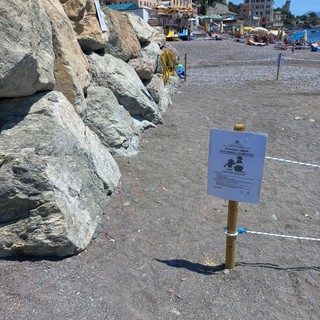 Inaugurata a Sturla la nuova spiaggia libera accessibile ai cani