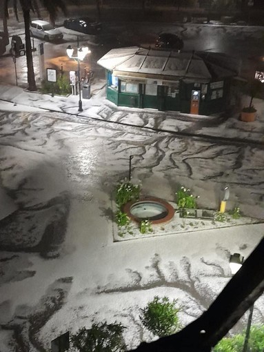 Foto di Barbara Monucelli via Limet Foto di Barbara Monucelli via Limet