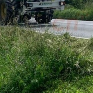 Recco, partito lo sfalcio delle strade carrabili Recco, partito lo sfalcio delle strade carrabili