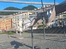Foto Arciragazzi Prometeo (Facebook) Foto Arciragazzi Prometeo (Facebook)