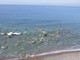 Mare pulito, revocato il divieto di balneazione a Priaruggia