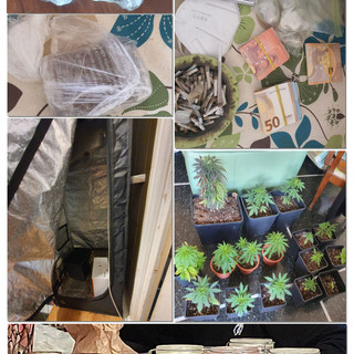 I poliziotti trovano un 'market' della droga in un appartamento di via Marco Polo, 24enne arrestato I poliziotti trovano un 'market' della droga in un appartamento di via Marco Polo, 24enne arrestato