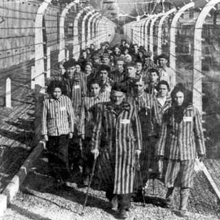 Shoah, il presidente Toti: “Ricordare sempre per non dimenticare mai è un imperativo”