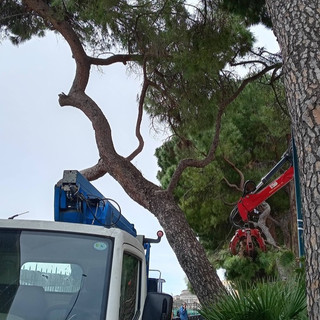 Foto Facebook Paolo Vanni