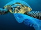Decreto Salvamare. Il deputato varazzino Battelli: "Così liberiamo dalla plastica le nostre acque e le nostre spiagge" Decreto Salvamare. Il deputato varazzino Battelli: "Così liberiamo dalla plastica le nostre acque e le nostre spiagge"