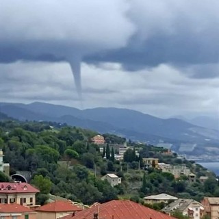 Foto di Leila Loureiro Foto di Leila Loureiro