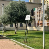 Giardini Tenco: a meno di 24 ore dalla posa, la targa dedicata al cantautore è già in bilico