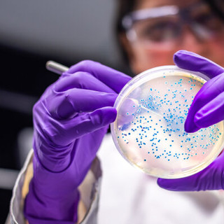 San Martino, nel 2021 150 i trapianti di cellule staminali e 15 terapie cellulari