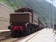Due treni storici in Liguria nel weekend, al via il viaggio tra i Giovi e la Sagra della Castagna Due treni storici in Liguria nel weekend, al via il viaggio tra i Giovi e la Sagra della Castagna