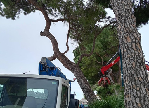 Carignano, nessun intervento della Procura in corso Podestà