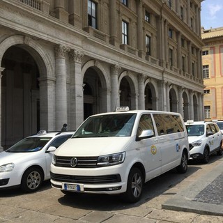 Genova, i tassisti potranno guidare in bermuda, purché a tinta unita