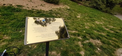 Un albero e una targa a Villa Gruber per ricordare Francesca Bonello Un albero e una targa a Villa Gruber per ricordare Francesca Bonello