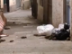 Emergenza topi in Centro Storico, il Comune corre ai ripari: "Più esche e interventi mirati" Emergenza topi in Centro Storico, il Comune corre ai ripari: "Più esche e interventi mirati"
